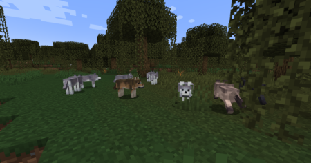  Wolf Port  Minecraft 1.20.4