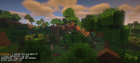  Daily Dad  Minecraft 1.21.10