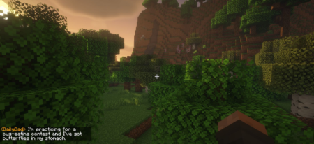  Daily Dad  Minecraft 1.21.10