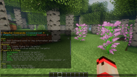  Helpful Commands  Minecraft 1.21.8