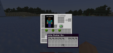  Peek  Minecraft 1.21.10
