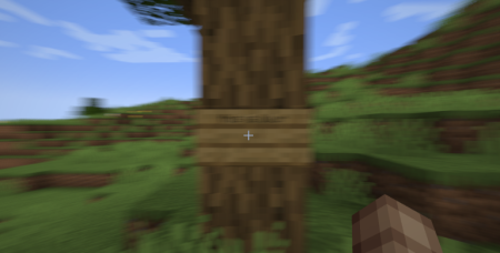 ������� Natural Motion Blur ��� Minecraft 1.21.1