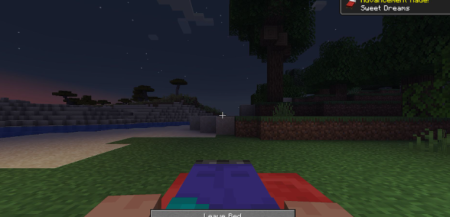 ������� SleepWarp ��� Minecraft 1.21.11
