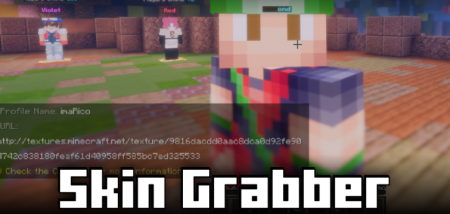 ������� Skin Grabber ��� Minecraft 1.21.11