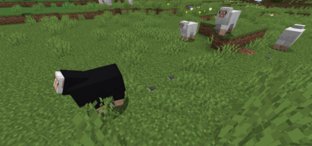 ������� Footprint Particle ��� Minecraft 1.21.10