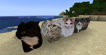 ������� Maxwell The Placeable Cat ��� Minecraft 1.21.10