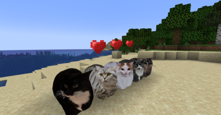 ������� Maxwell The Placeable Cat ��� Minecraft 1.21.10