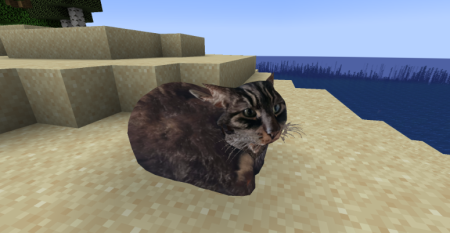 ������� Maxwell The Placeable Cat ��� Minecraft 1.21.10