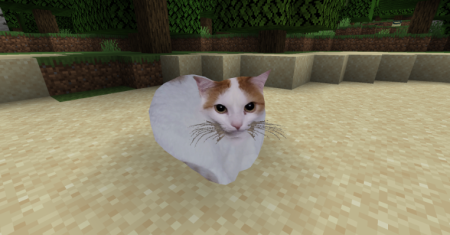 ������� Maxwell The Placeable Cat ��� Minecraft 1.21.11