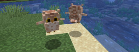 ������� Animal Garden Owl ��� Minecraft 1.21.10
