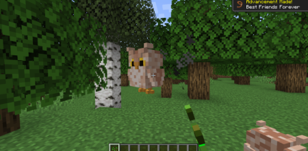������� Animal Garden Owl ��� Minecraft 1.21.10