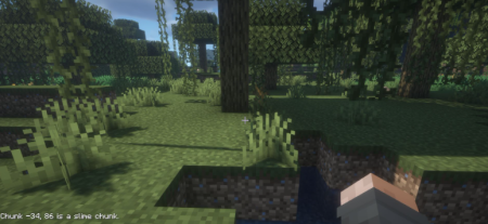 ������� Mcstrugs�s Slime ��� Minecraft 1.21.11