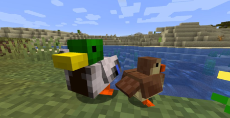 ������� Untitled Duck ��� Minecraft 1.21.8