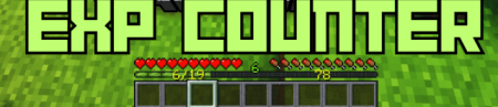������� EXP Counter ��� Minecraft 1.21.10