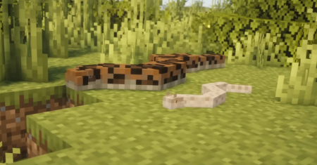 ������� Ophidiophobia ��� Minecraft 1.20