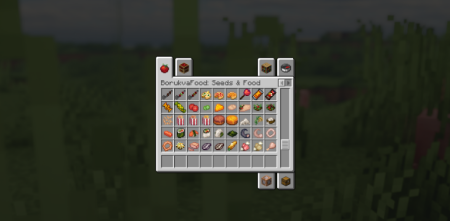������� Borukva Food ��� Minecraft 1.21.10