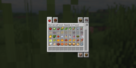������� Borukva Food ��� Minecraft 1.21.10