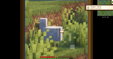 ������� Field Guide ��� Minecraft 1.21