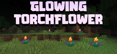 ������� Glowing Torchflower ��� Minecraft 1.21.11