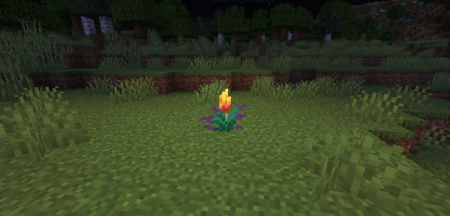 ������� Glowing Torchflower ��� Minecraft 1.21.11