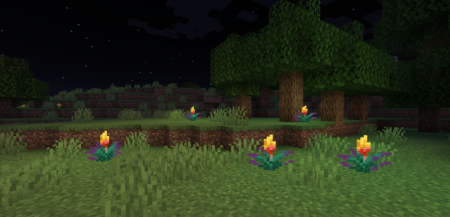 ������� Glowing Torchflower ��� Minecraft 1.21.11