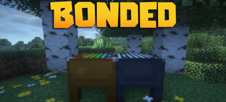 ������� Bonded ��� Minecraft 1.21.11
