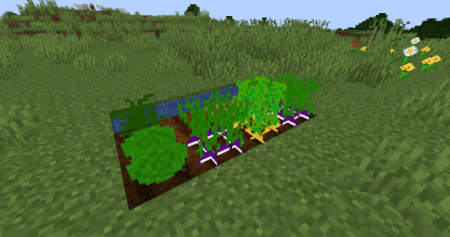 ������� Experienced Food ��� Minecraft 1.20