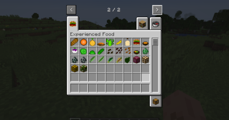 ������� Experienced Food ��� Minecraft 1.20.1