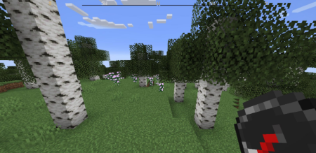 ������� Compass Ribbon ��� Minecraft 1.21.11