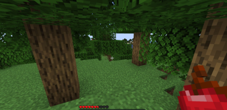 ������� Hunger Remover ��� Minecraft 26.1