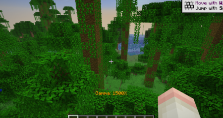 ������� Simple Fullbright ��� Minecraft 26.1.1