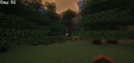 ������� Day Count ��� Minecraft 26.1.1