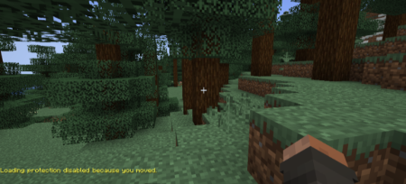 ������� Loading Protection ��� Minecraft 1.21.1