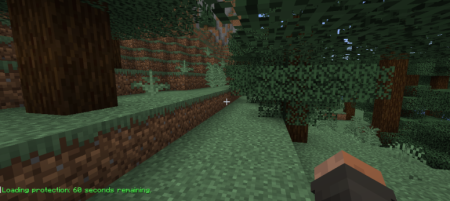 ������� Loading Protection ��� Minecraft 1.21.1