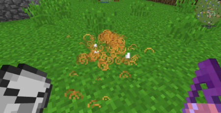 ������� CleanView ��� Minecraft 1.21.10