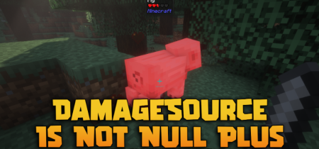 ������� Damagesource is Not Null ��� Minecraft 1.21