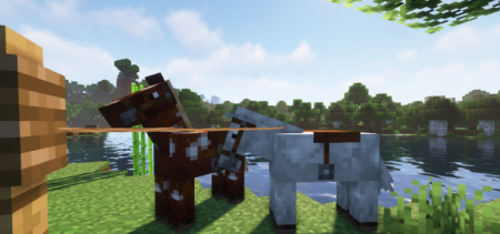 ������� Horse Stonks ��� Minecraft 26.1.2