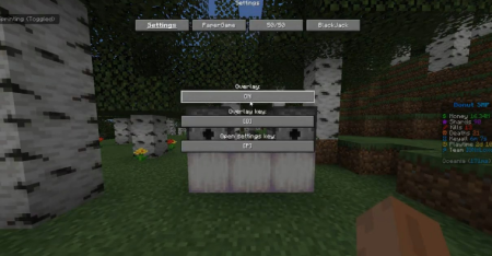 ������� Donutsmp Gamble Rigger ��� Minecraft 1.21.11