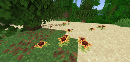 ������� Serene Shrubbery ��� Minecraft 1.21.10