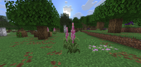 ������� Serene Shrubbery ��� Minecraft 1.21.11