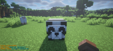 ������� Animal Info ��� Minecraft 26.1.1