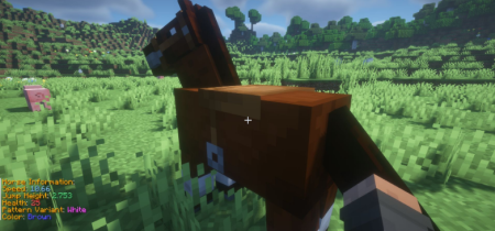 ������� Animal Info ��� Minecraft 26.1.1