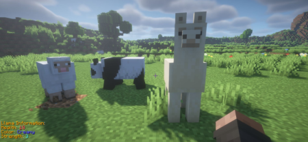 ������� Animal Info ��� Minecraft 26.1.2