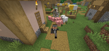 ������� Strong Leads ��� Minecraft 26.1.2
