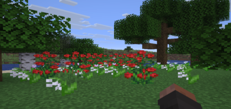 ������� Rescale Aspect Ratio ��� Minecraft 26.1.2