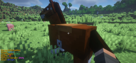 ������� Animal Info ��� Minecraft 26.2