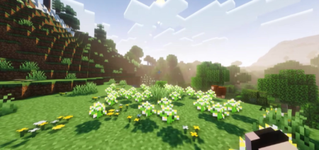 ������� Handycam ��� Minecraft 26.2