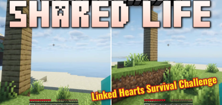 ������� Shared Life ��� Minecraft 26.1.2
