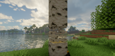 ������� Motor Assistance ��� Minecraft 26.1.2