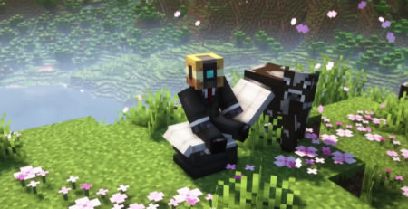 ������� Health&disease ��� Minecraft 1.20